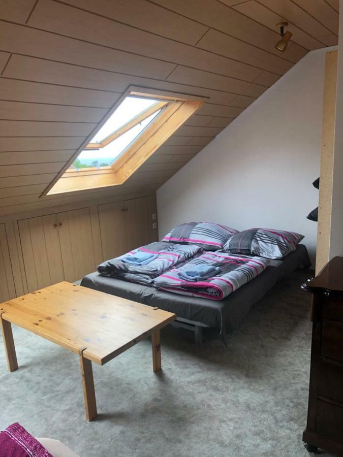Dachgeschoss In Einem Reihenhaus Lägenhet Heidelberg Exteriör bild